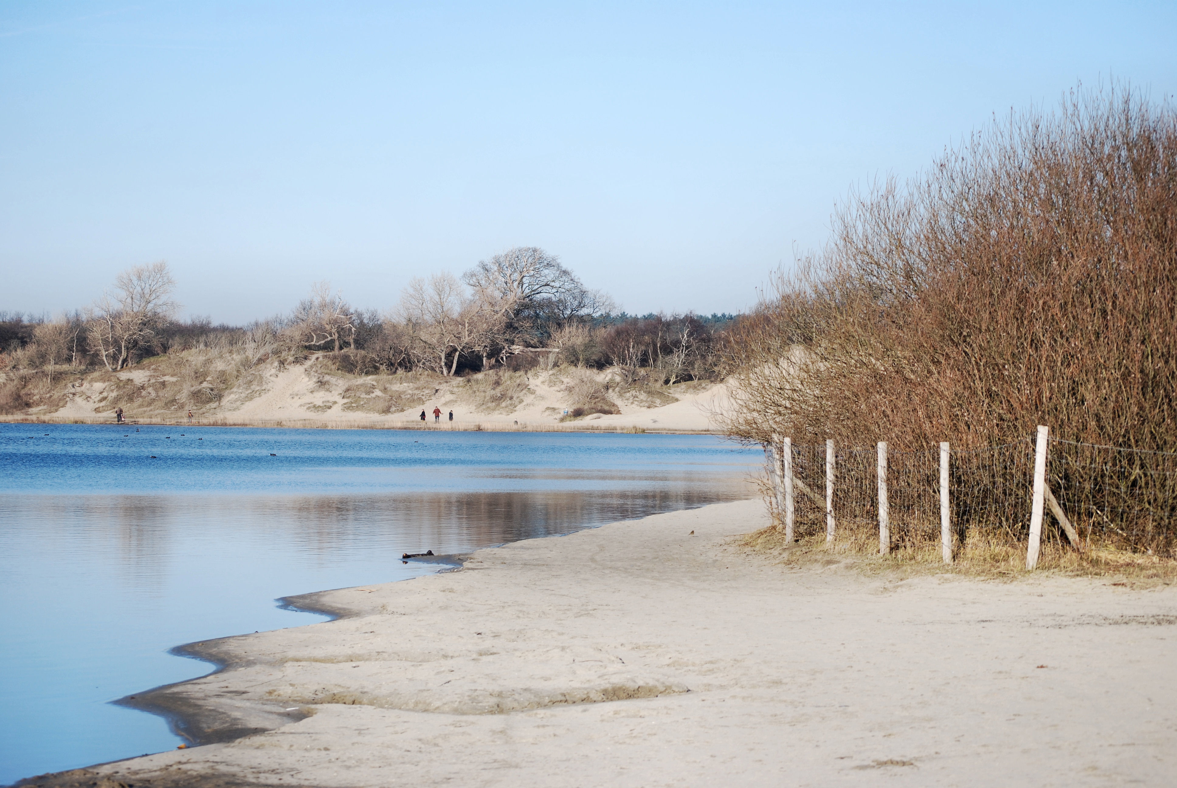 Wandelend coachen, effectief en heerlijk!