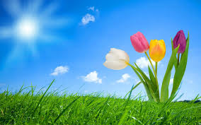 Ook zo'n zin in de lente? - www.Amercoaching.nl