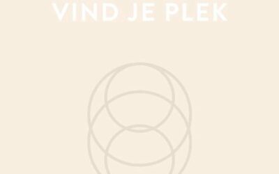 De fontein, vindt je plek – Els van Steijn