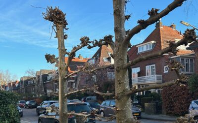 Redden in plaats van ondersteunen
